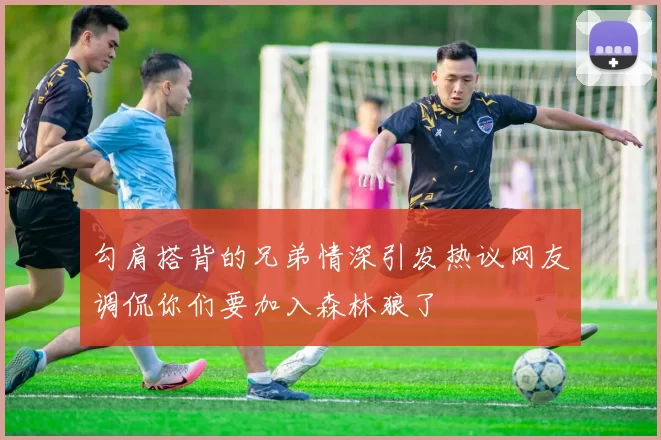 勾肩搭背的兄弟情深引发热议网友调侃你们要加入森林狼了